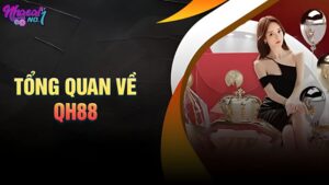 Khám phá QH88 - Sân chơi cá cược uy tín hàng đầu Việt Nam